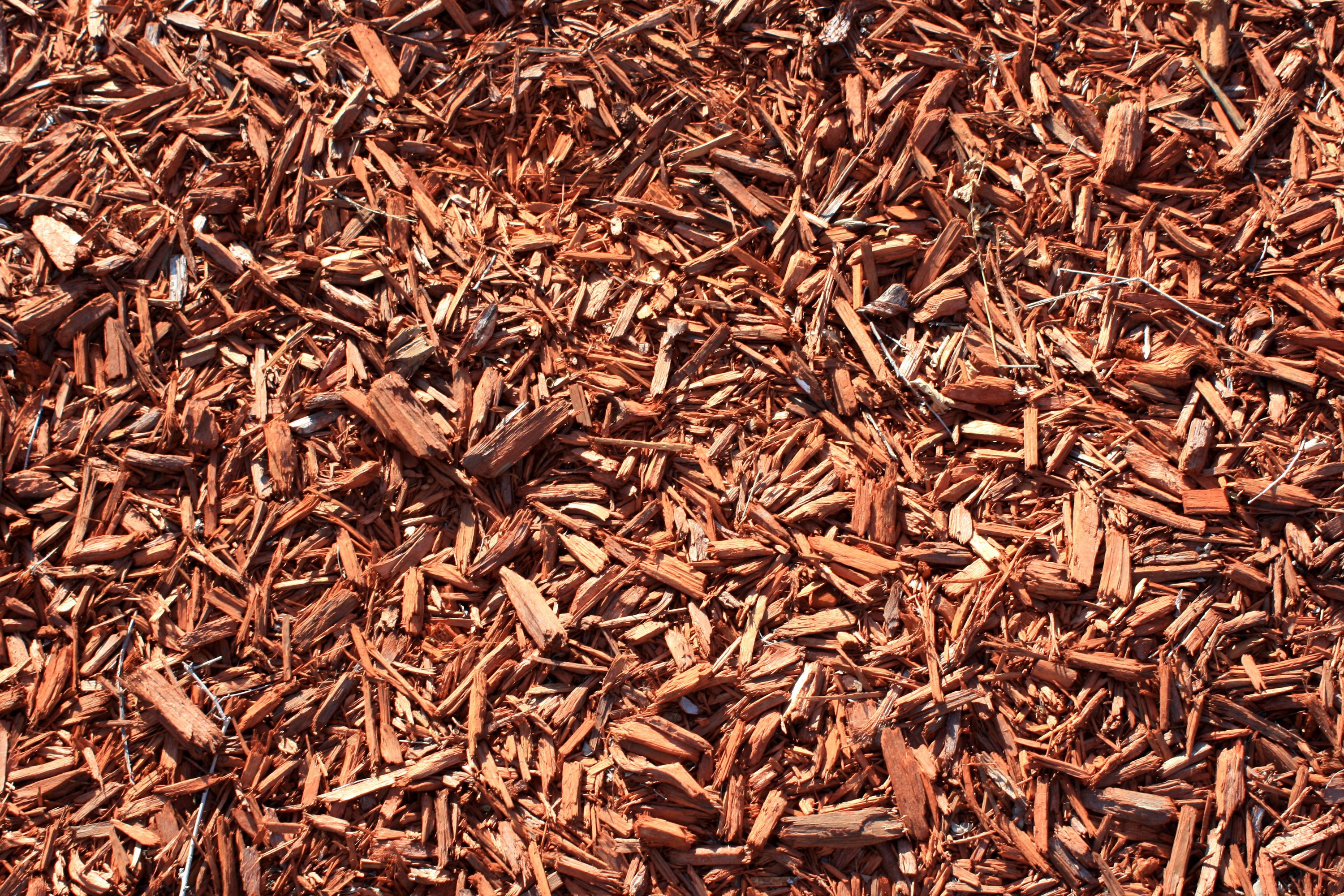 Red Wood Chips Picture Free Photograph Photos Public Domain