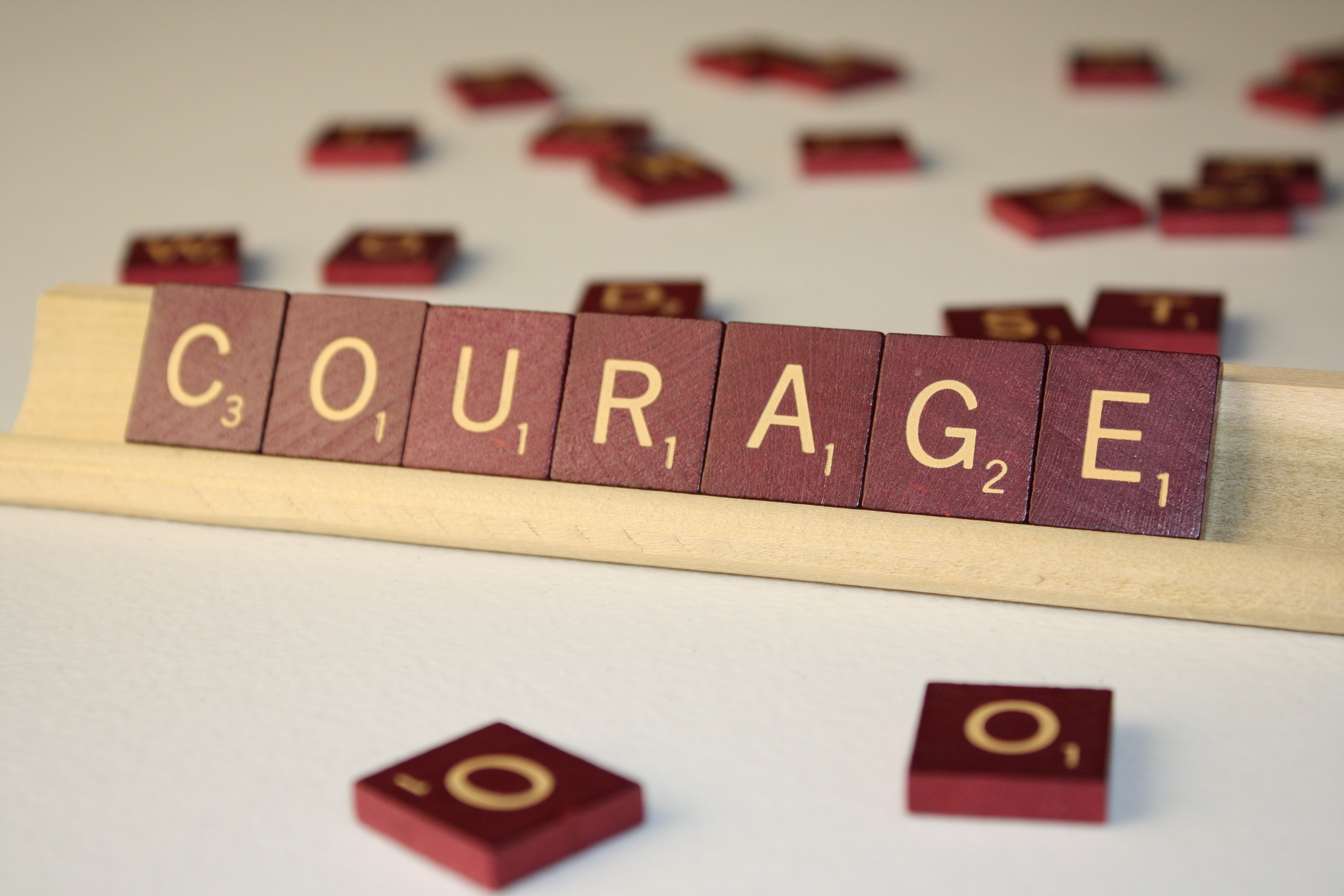 11 Letter Word Meaning Courageous