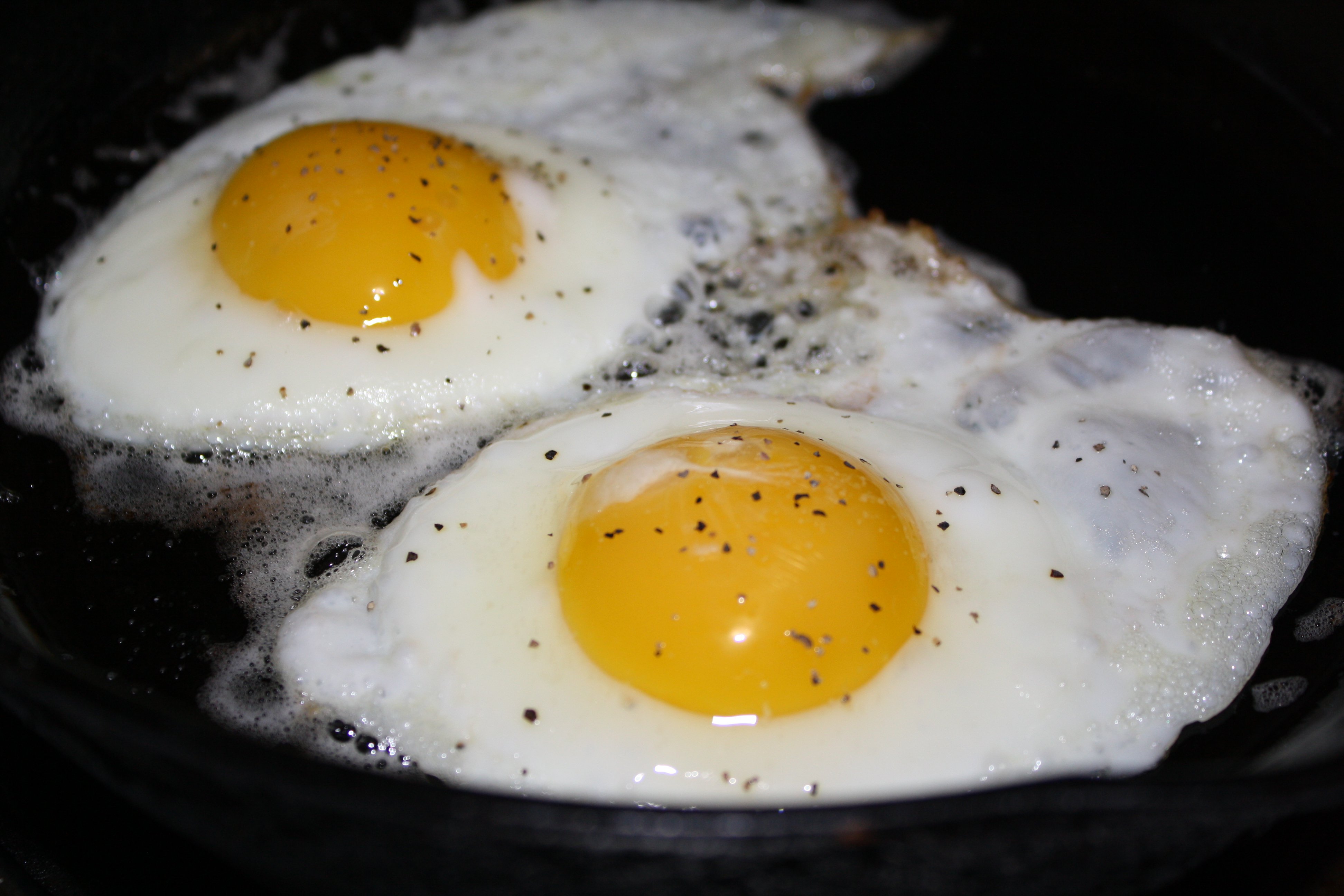 [Image: fried-eggs.jpg]