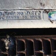 Dump No Waste Drains to River Sign on Storm Drain - Free High Resolution Photo