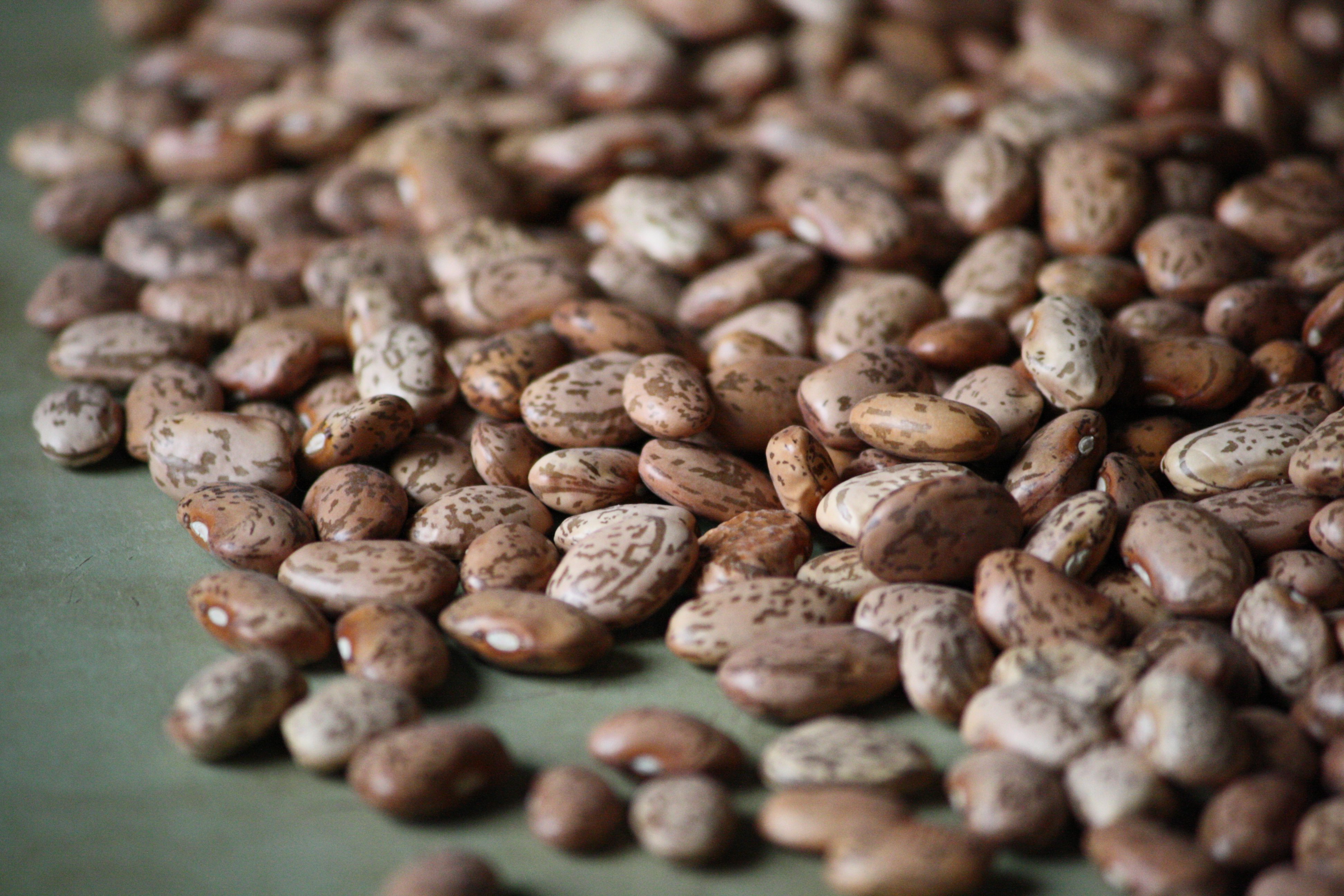 How Cook Cook Pinto Beans