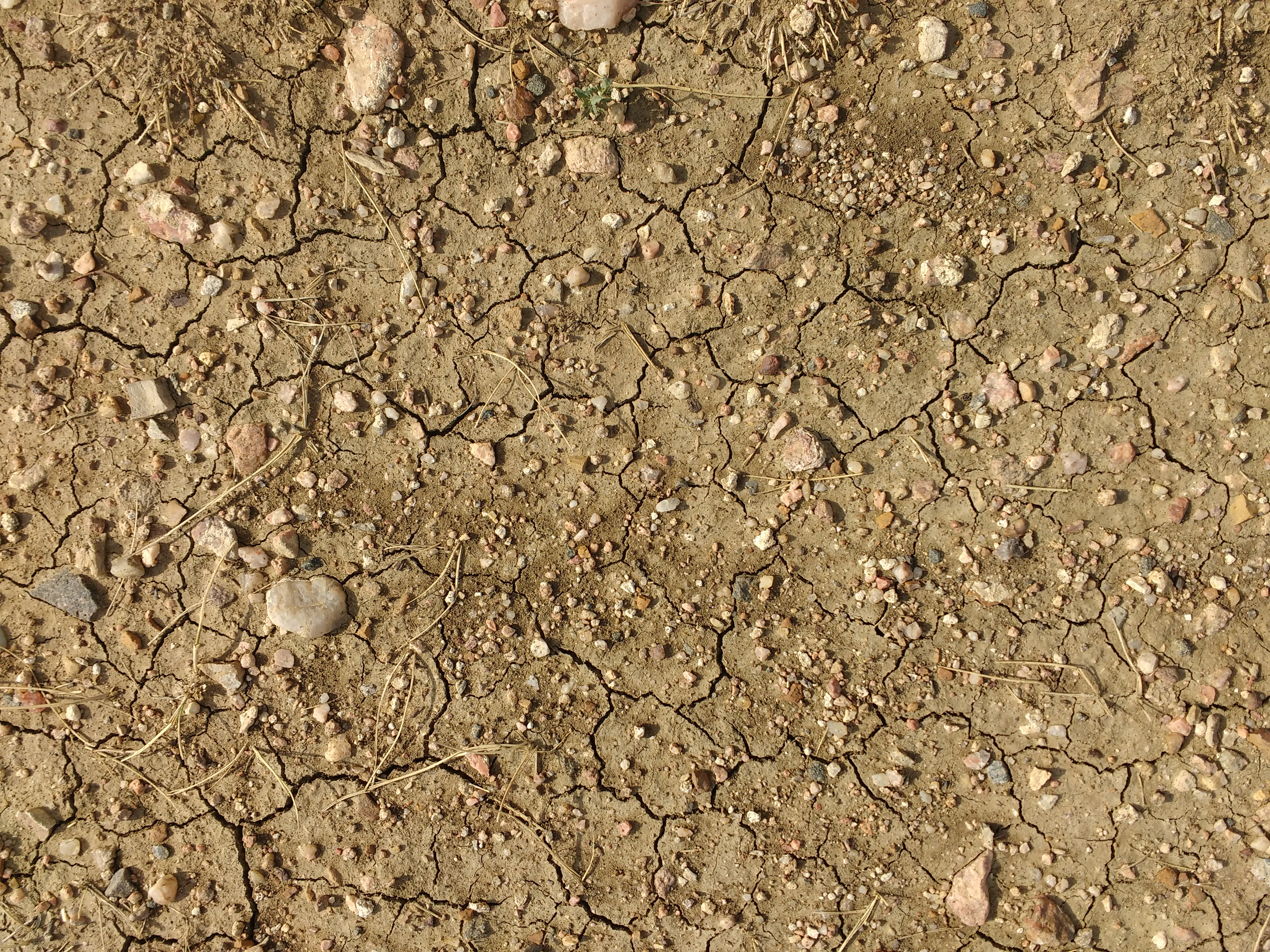 Dirt Texture High Res | Images and Photos finder