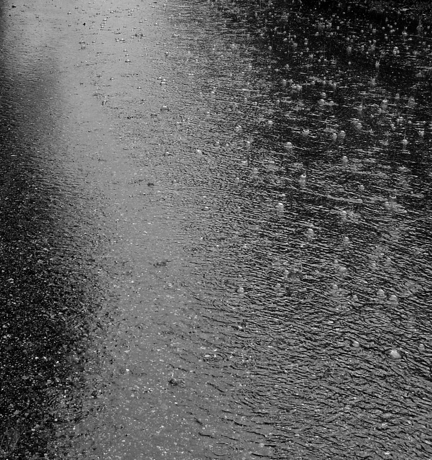 wet road texture