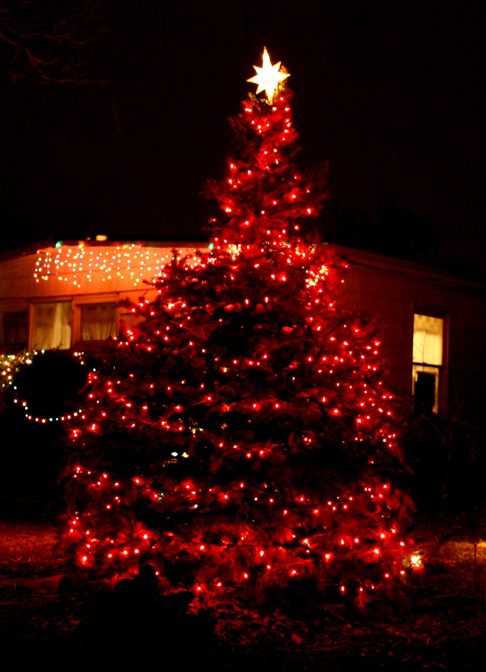 white christmas tree with red lights