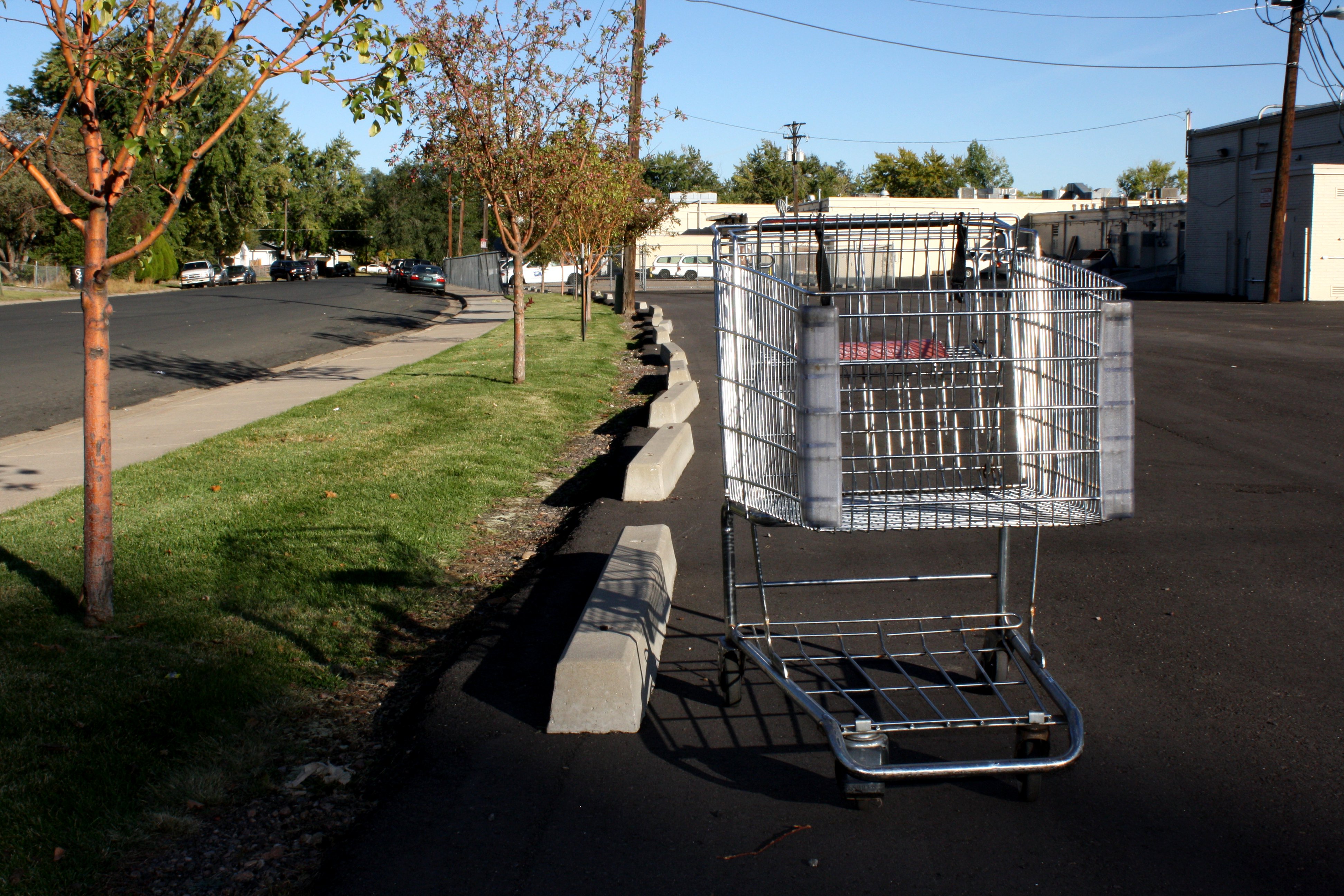 Grocery Store Parking Lot Carts