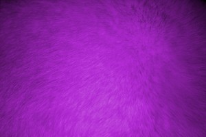 Purple Fur Texture - Free High Resolution Photo