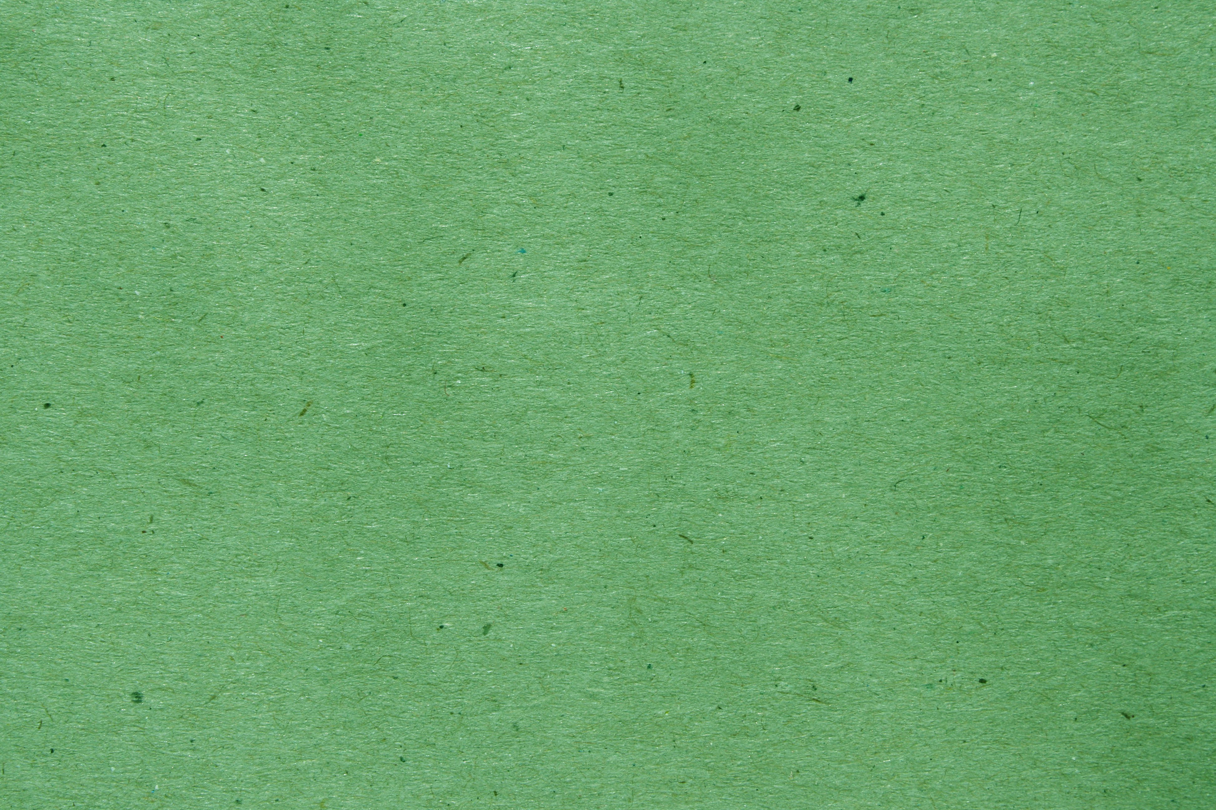 Green Paper Texture with Flecks Picture, Free Photograph