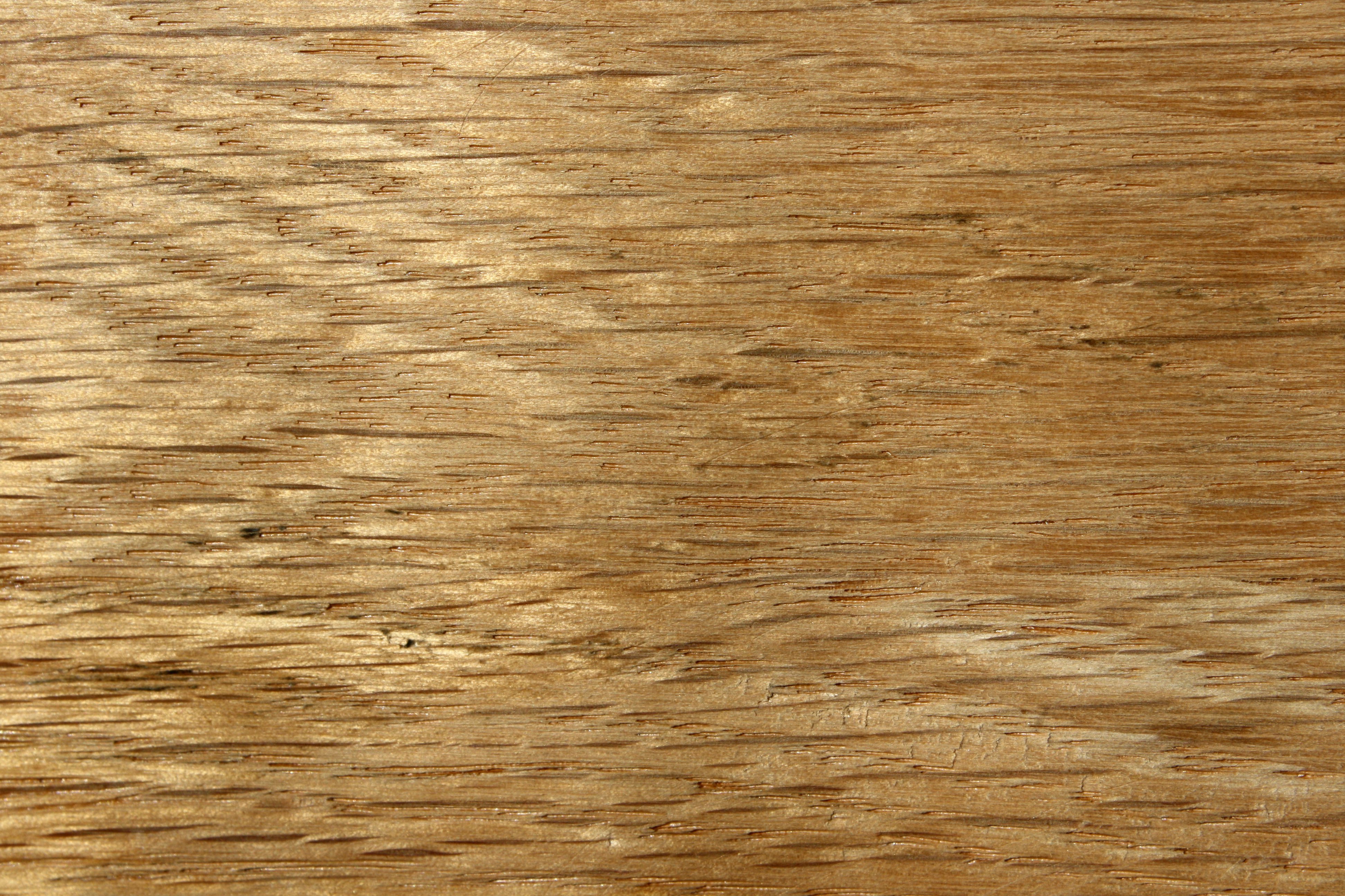 Oak Wood Grain Texture Close Up Picture Free Photograph Photos