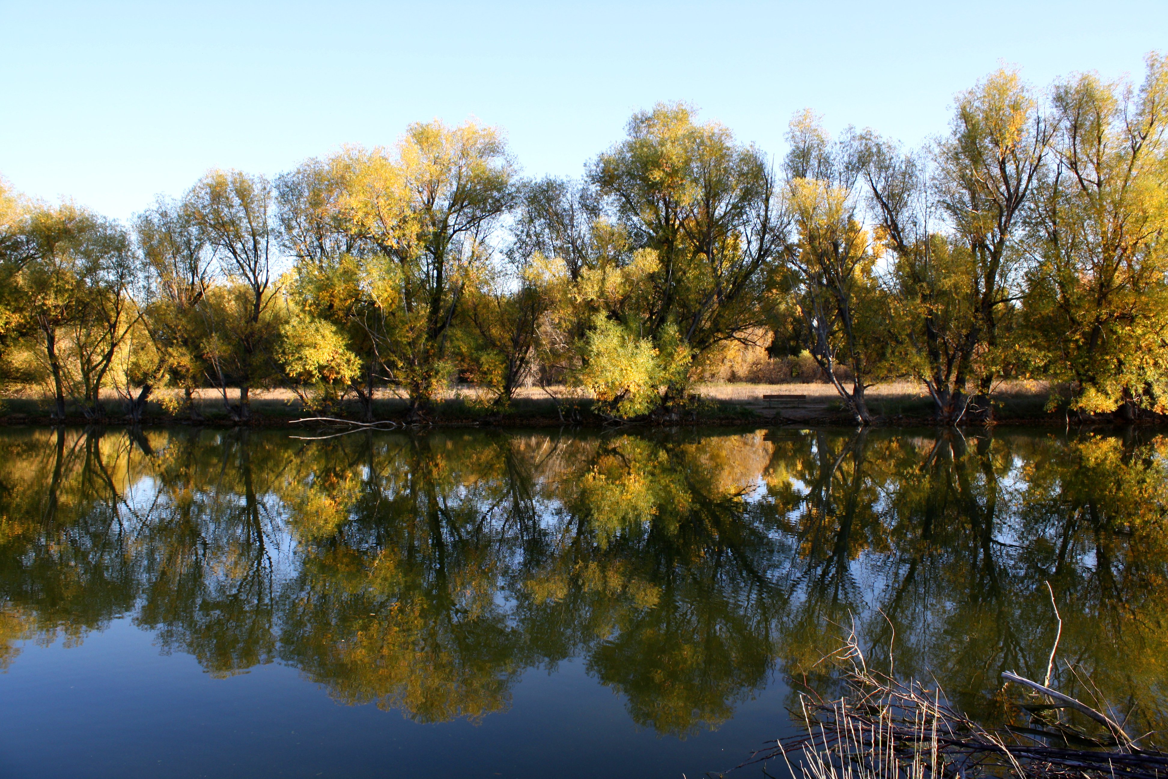 Sun on Autumn Trees Reflected in Water Picture, Free Photograph