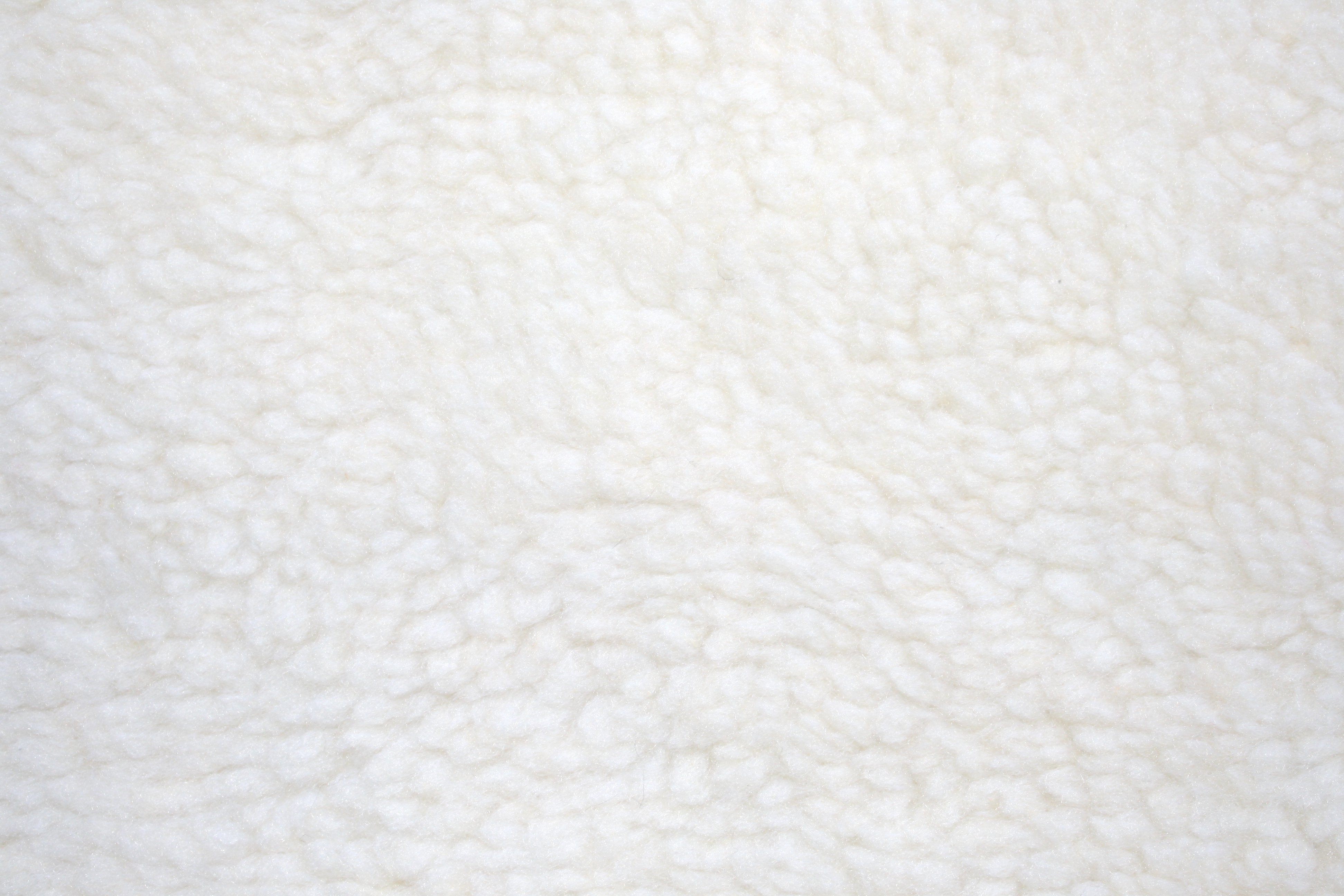 Fleece Faux Sherpa Wool Fabric Texture Natural Cream Picture | Free ...