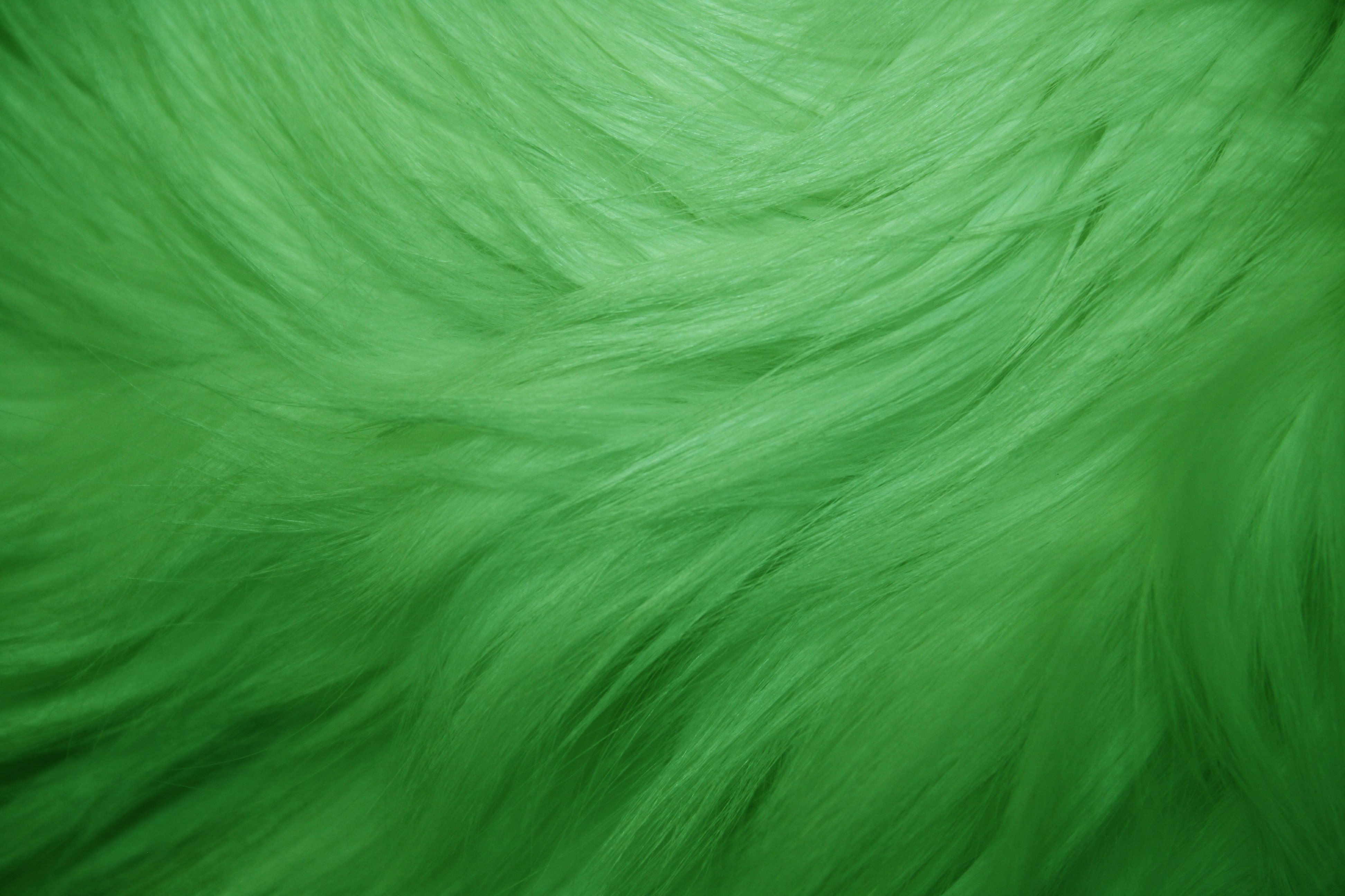 Green Fluffy Wool Texture, Animal Wool Background, Painted Fur Texture  Closeup Stock Photo Image Of Surface, Cotton: 175601980