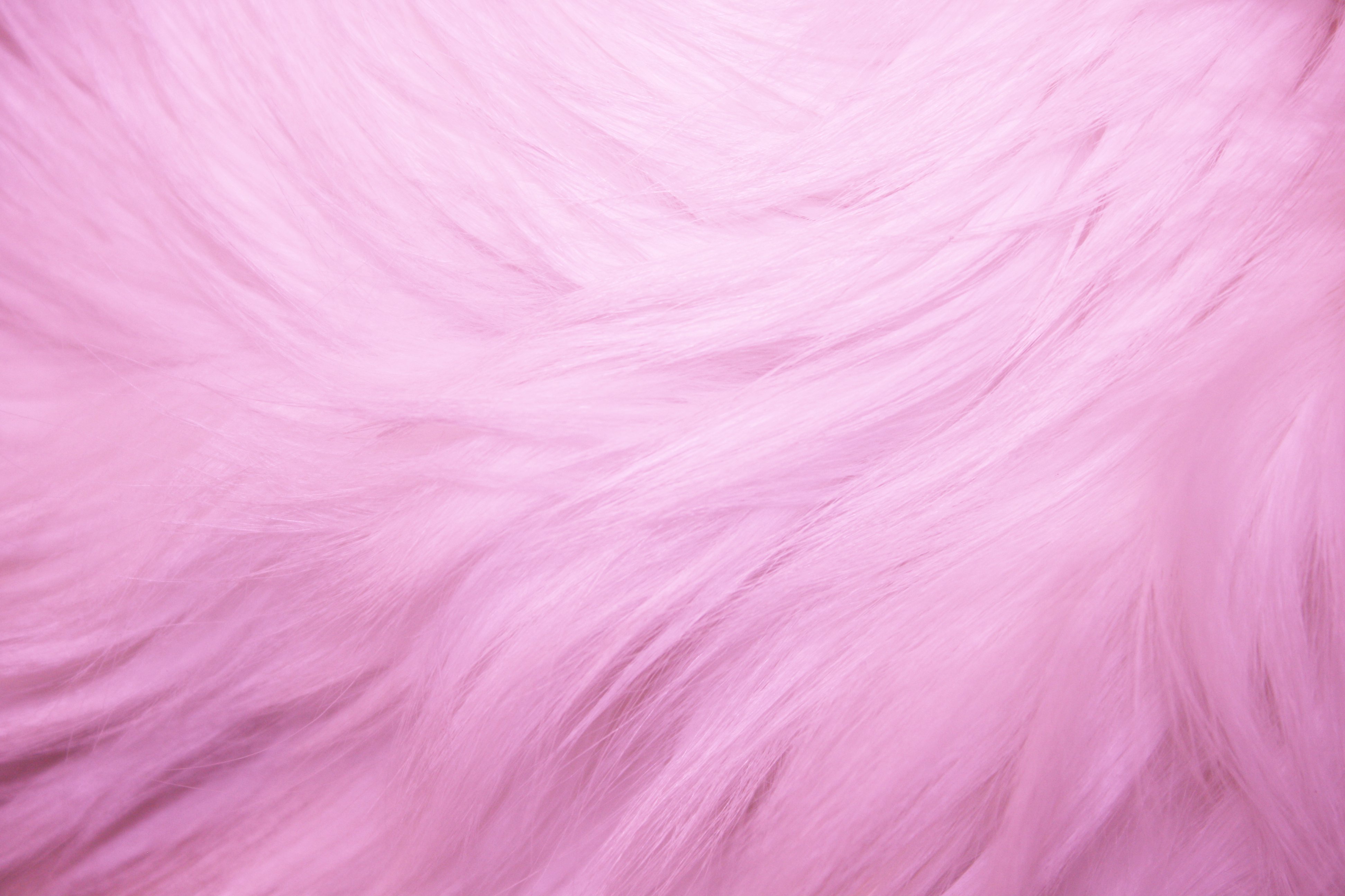 Pink Fur Texture Picture Free Photograph Photos Public Domain