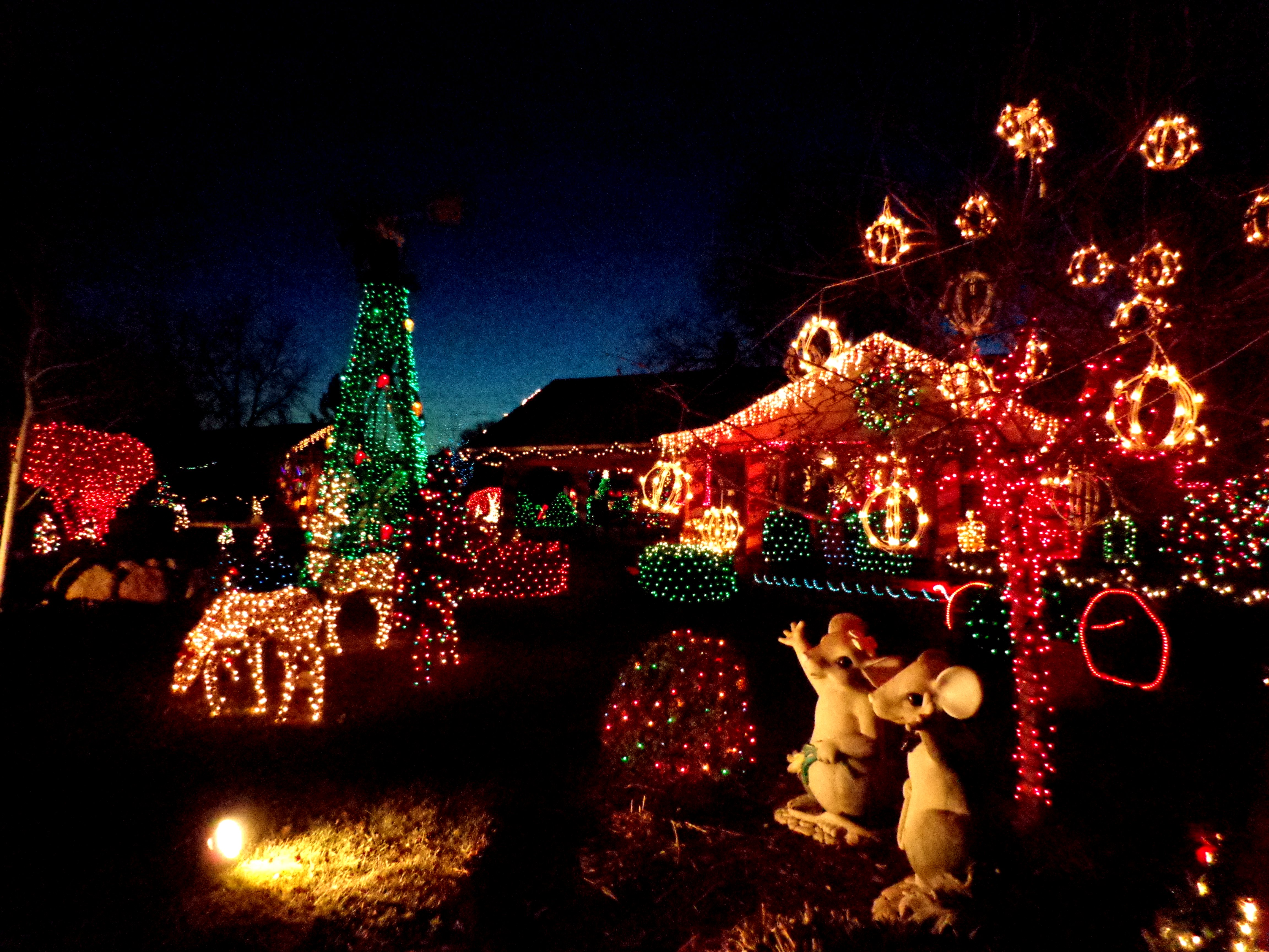 Christmas Lights Yard full of Holiday Decorations Picture | Free