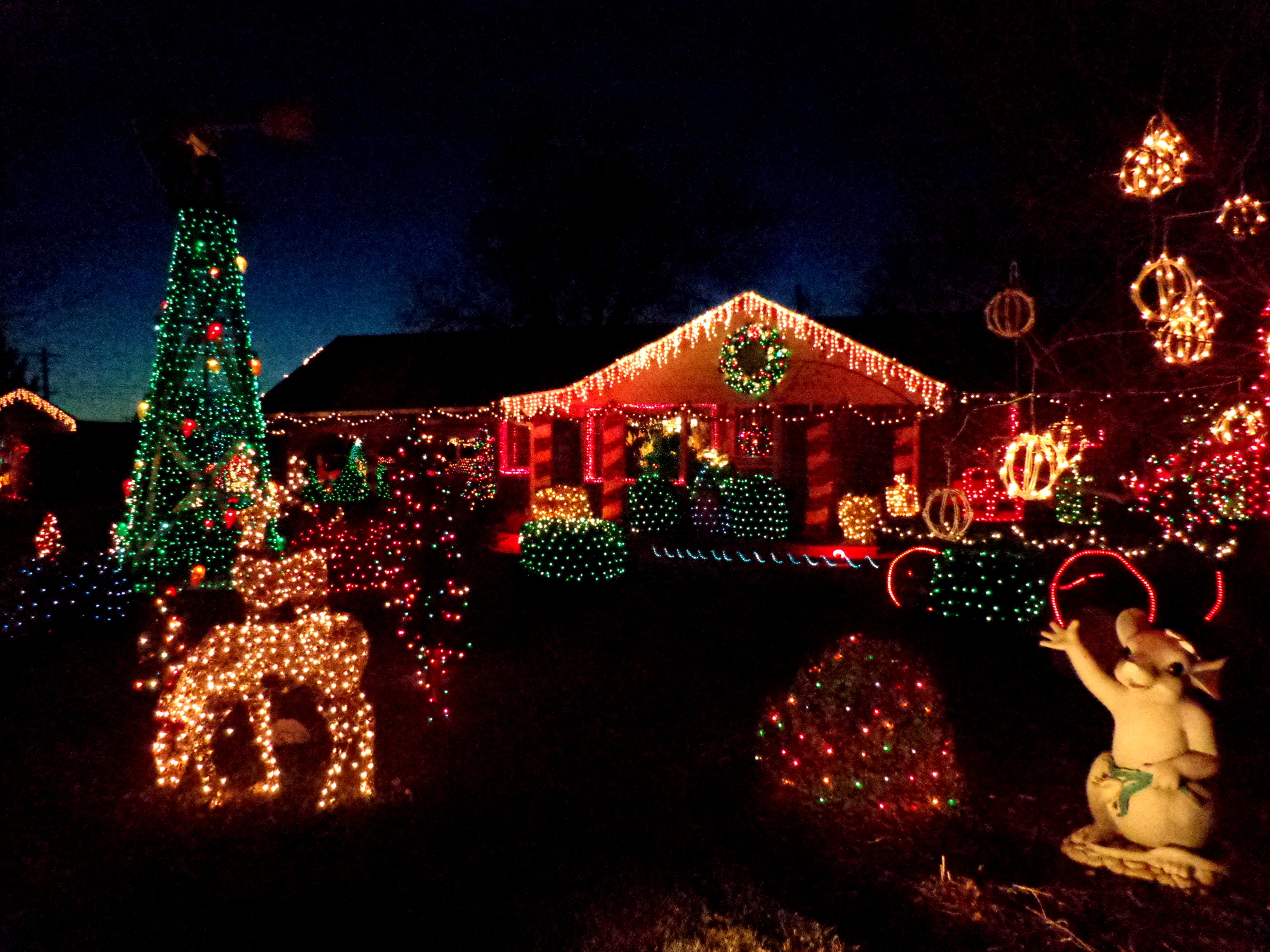 House Decorated with Christmas Lights Picture | Free Photograph ...