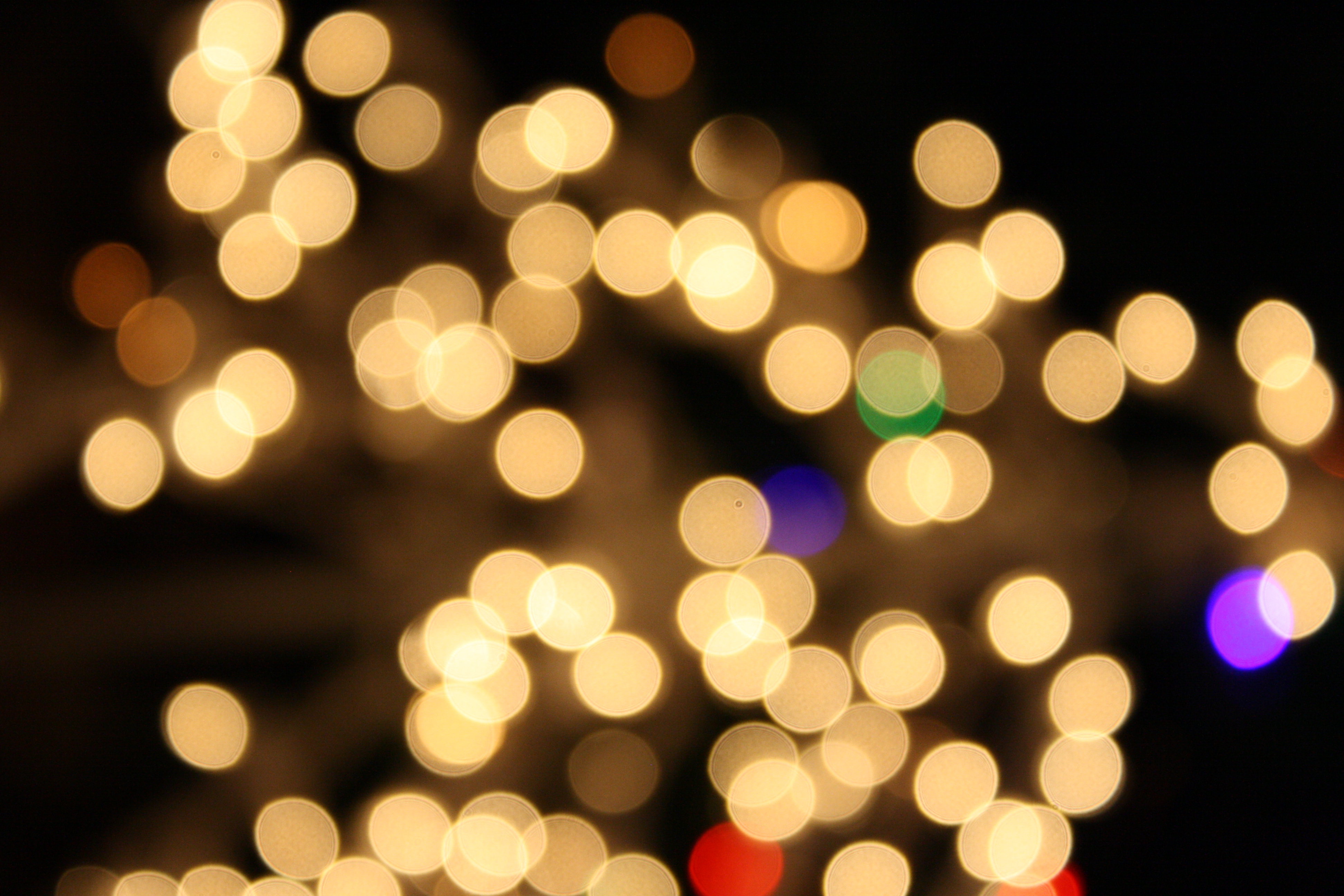 holiday white lights background