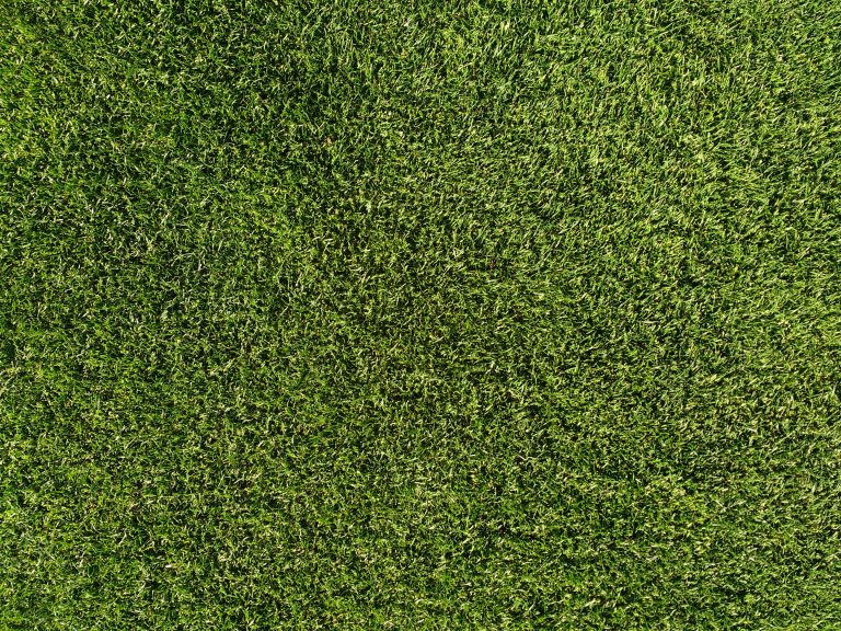 Grass Lawn Texture – Photos Public Domain