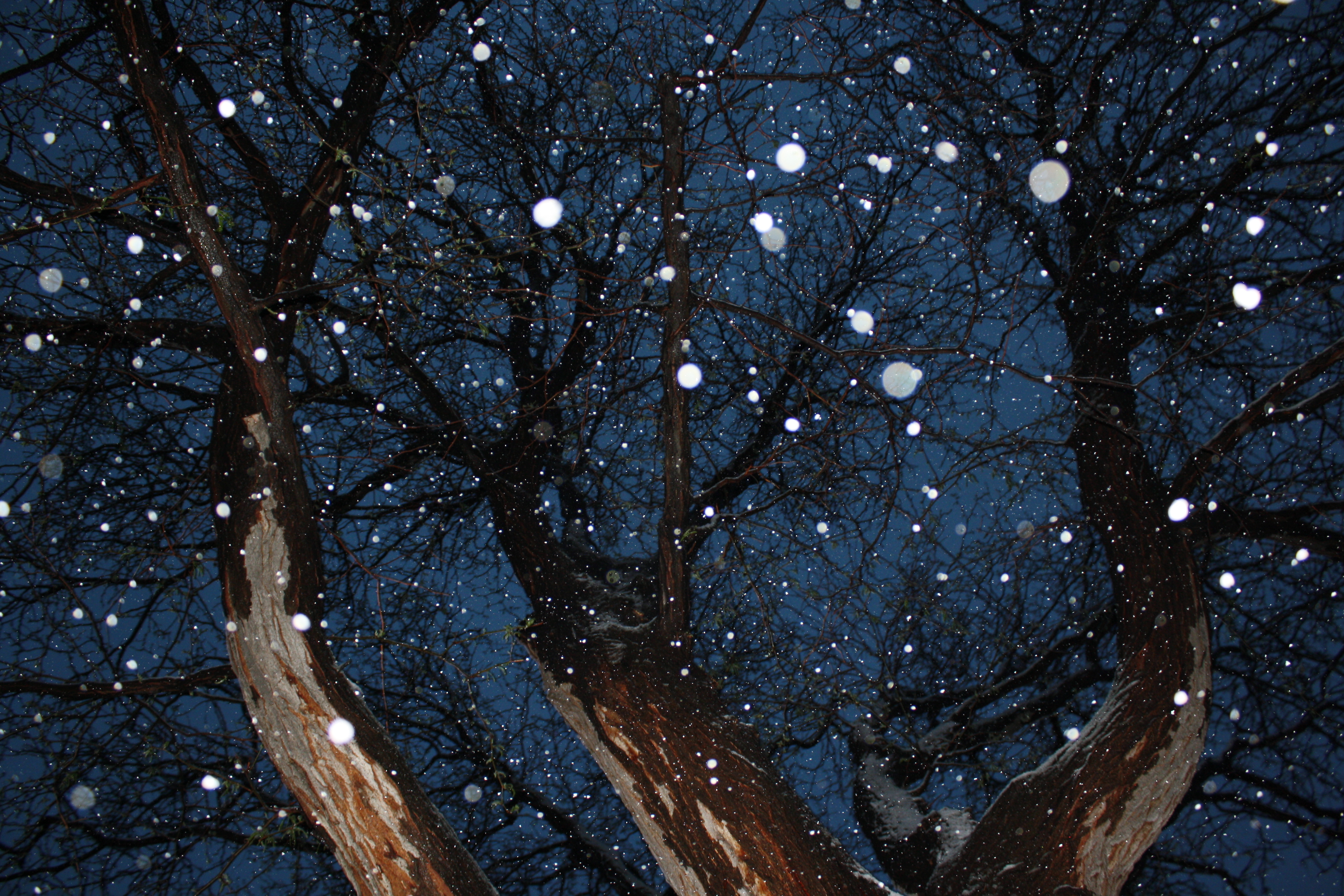 photographing snow falling at night