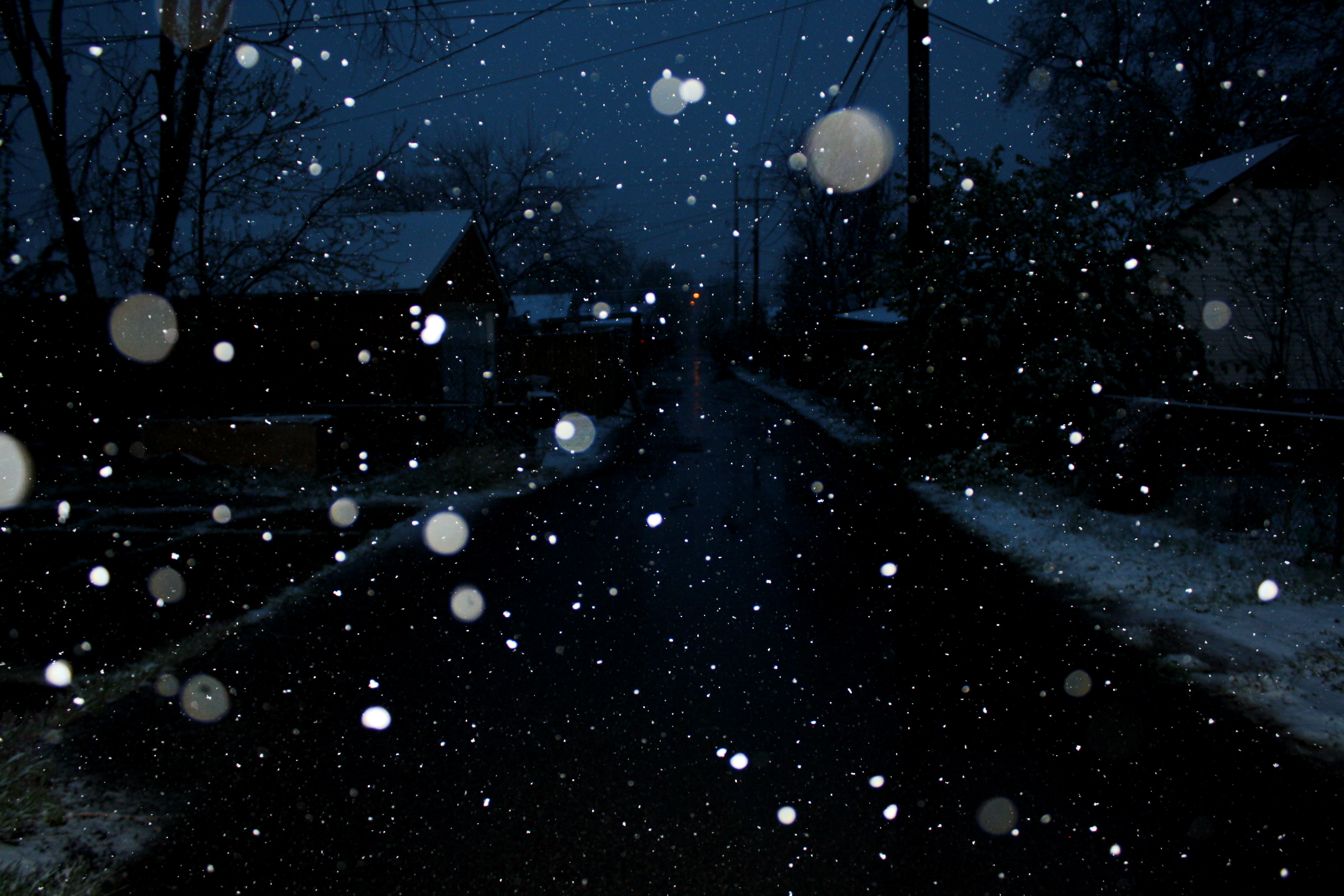 falling snow photography