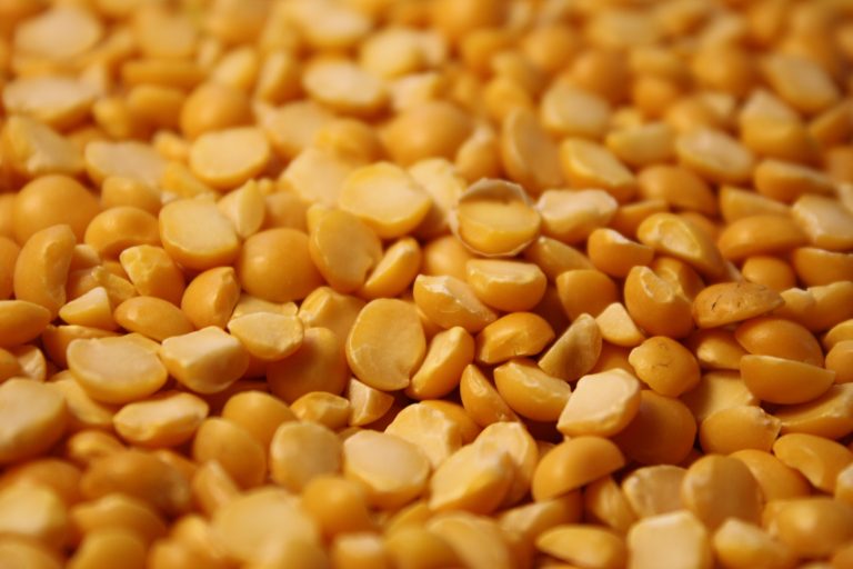 Yellow Split Peas Picture | Free Photograph | Photos Public Domain